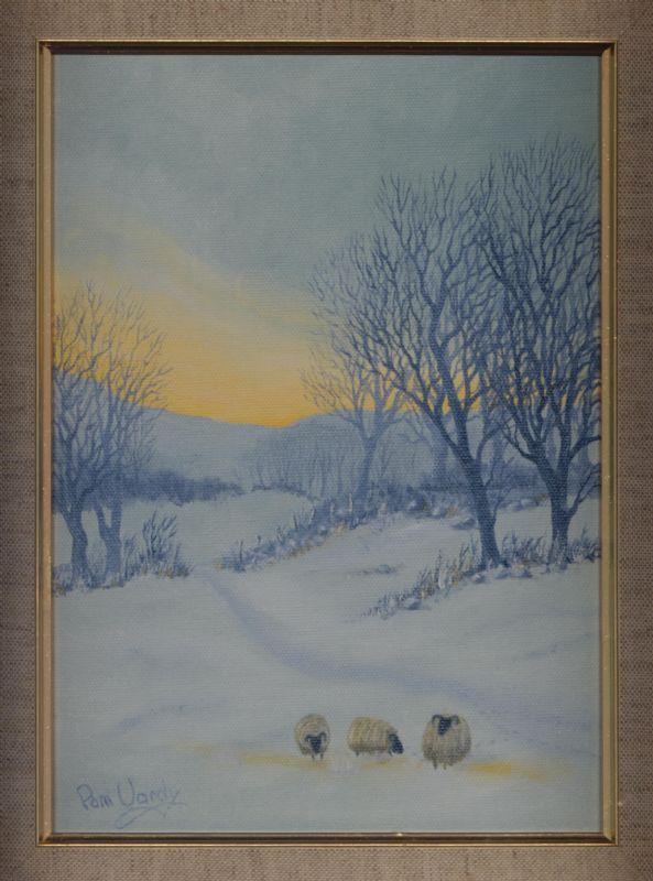Sheep in snow. Sunset and winter trees